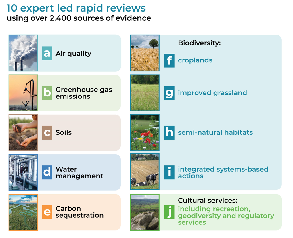 Infographic of the ten report themes