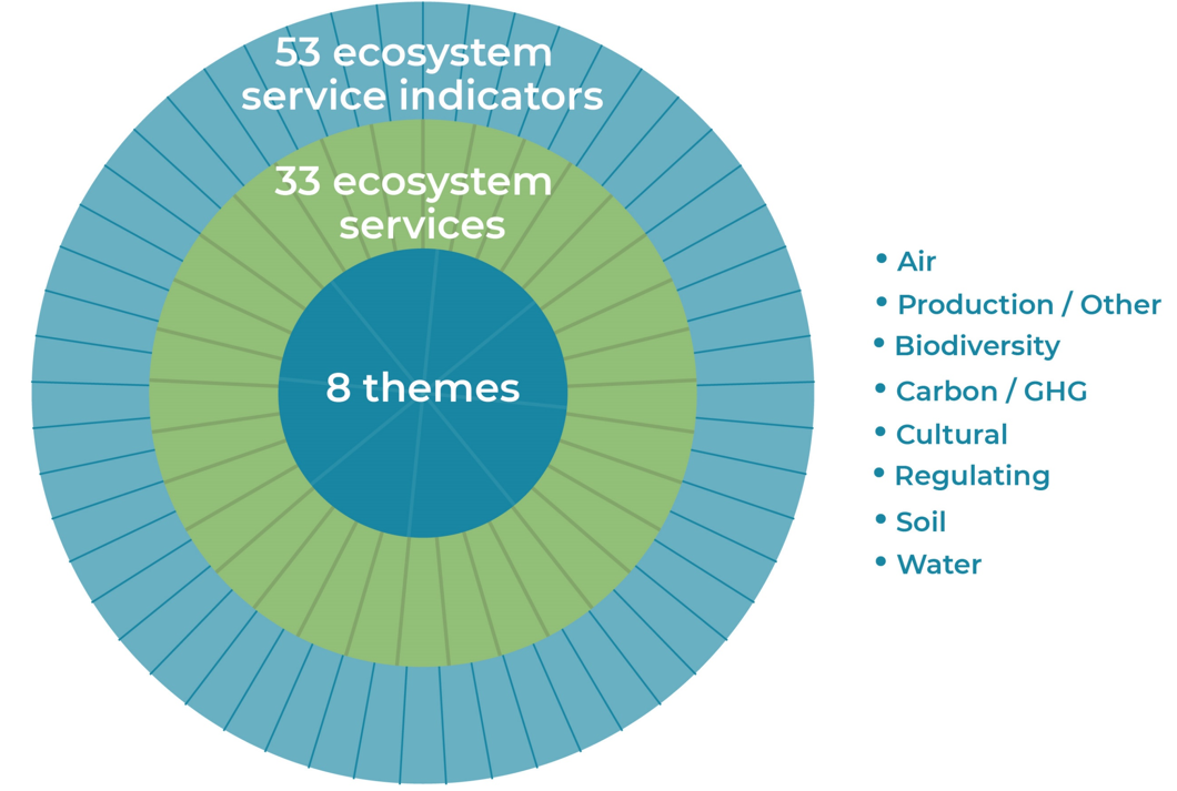 Graphic showing circles of themes, services and indicators