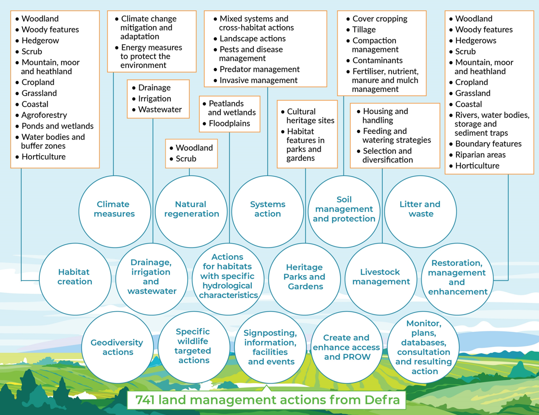 Detailed infographic showing the review themes and ecosystem services covered by each