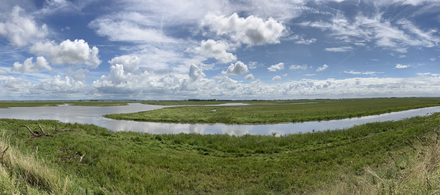 Saltmarsh, Ribble Estuary. Photo: Stefanie Carter