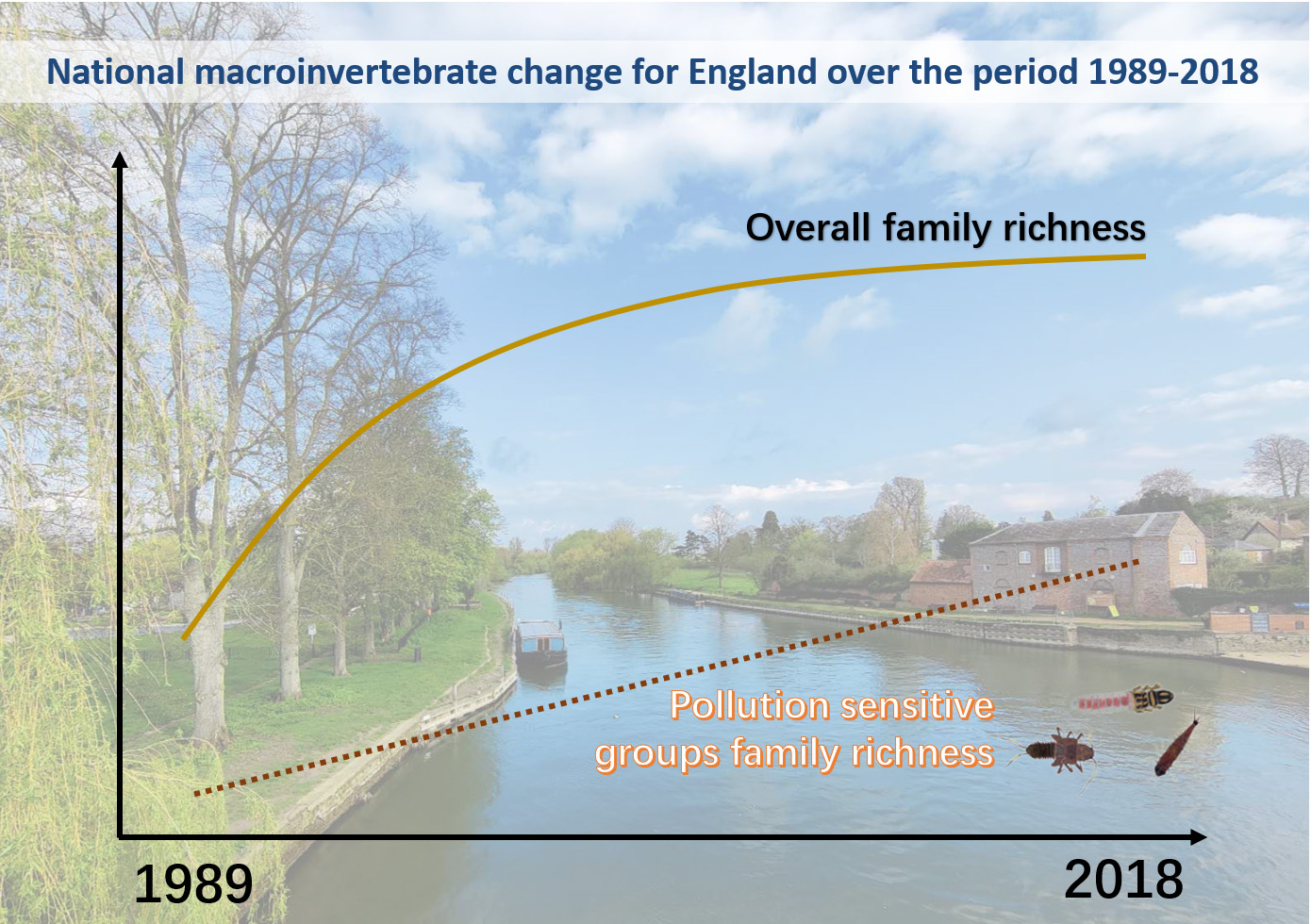 A graph shows trend of national macroinvertebrate change for England over the period 1989-2018