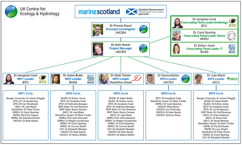 Cumulative effects framework project organisational chart