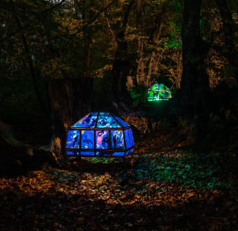 Illuminated glass sculptures in woodland at night