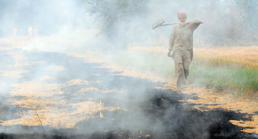 Farner walking in field alongside smoke from burning of rice residues. Image: ©2011CIAT/NeilPalmer