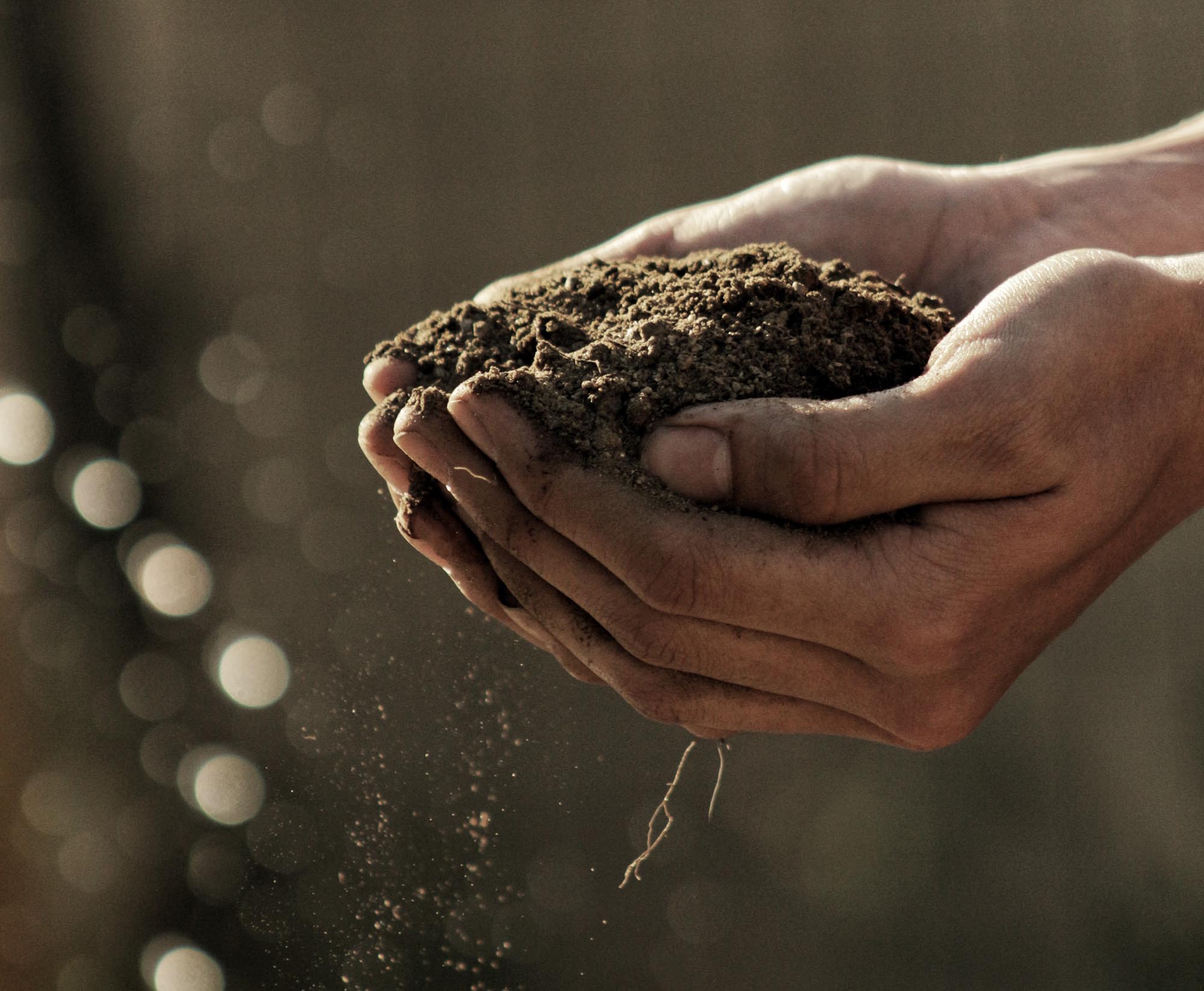 Person's hands holding soil. Photo: Gabriel Jimenez on Unsplash