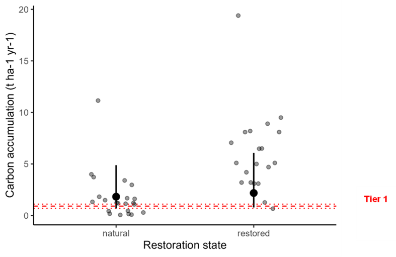 Graph with y axis labelled Carbon accumulation and x axis labelled restoration site