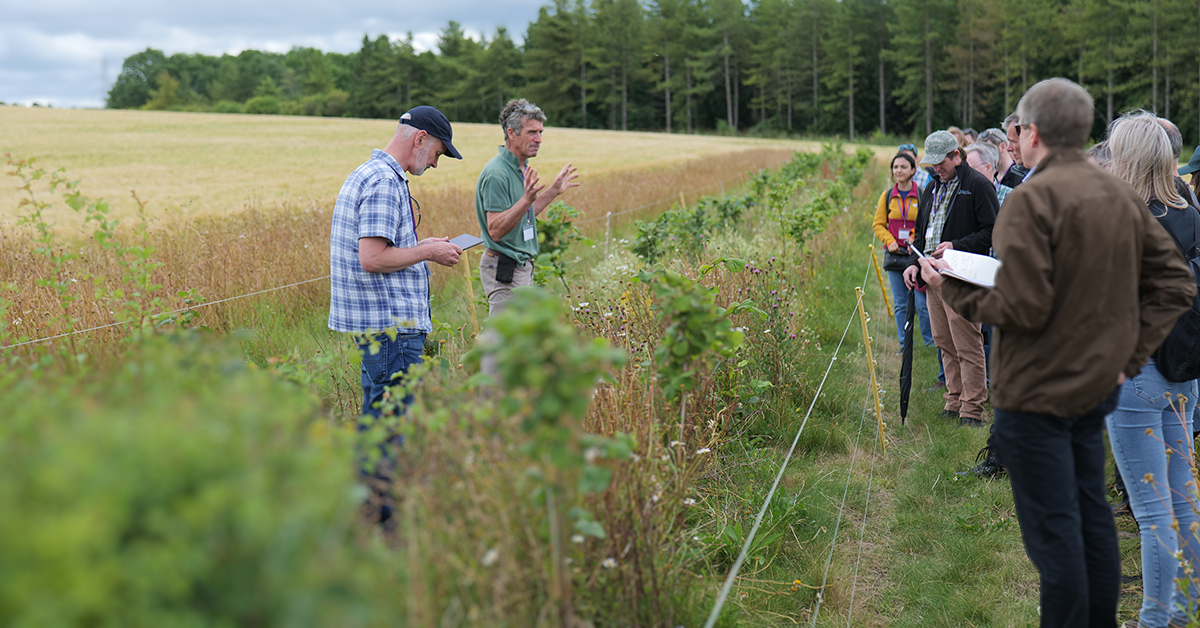 Julian Gold and Richard Pywell talking about sustainable farming to a group of visitors on a farm