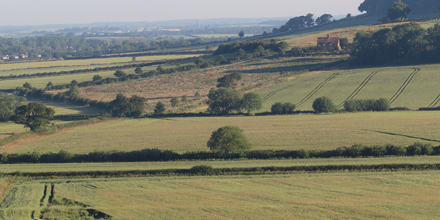 A farmed landscape in the UK