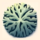 Illustration of lichen