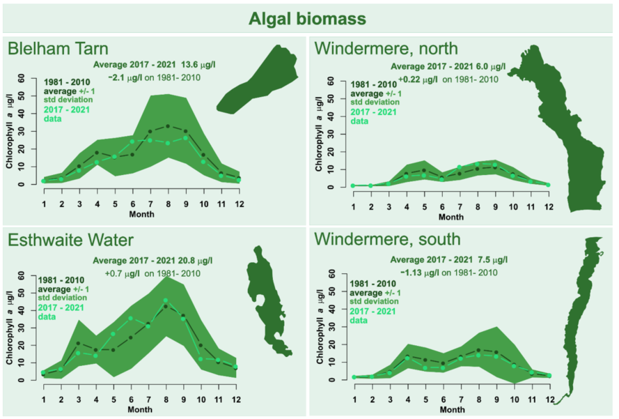 4 graphs showing changes in algal biomass over two time periods