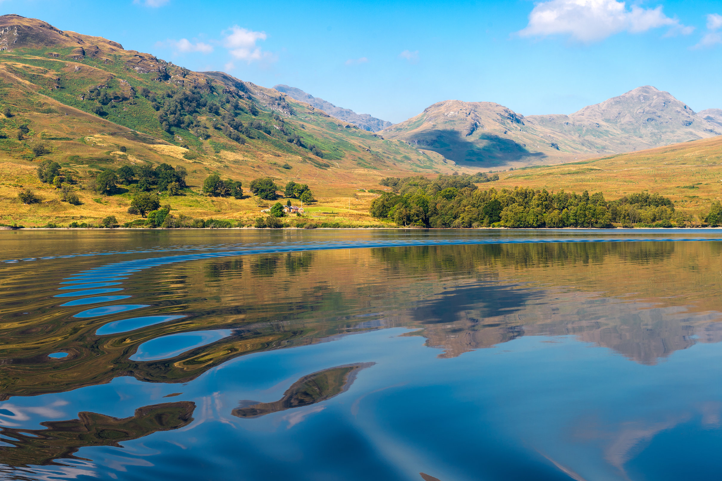  Valuing Nature Programme | UK Centre for Ecology & Hydrology