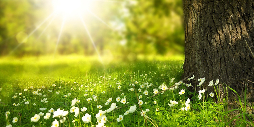 spring-276014-CC0-Pixabay-