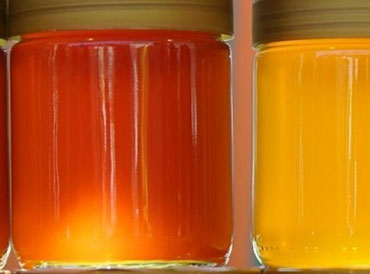 Honey Photo:Shutterstock Honey Photo:Shutterstock