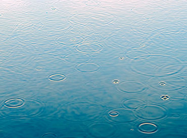 Rain Rain