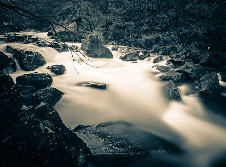 River River