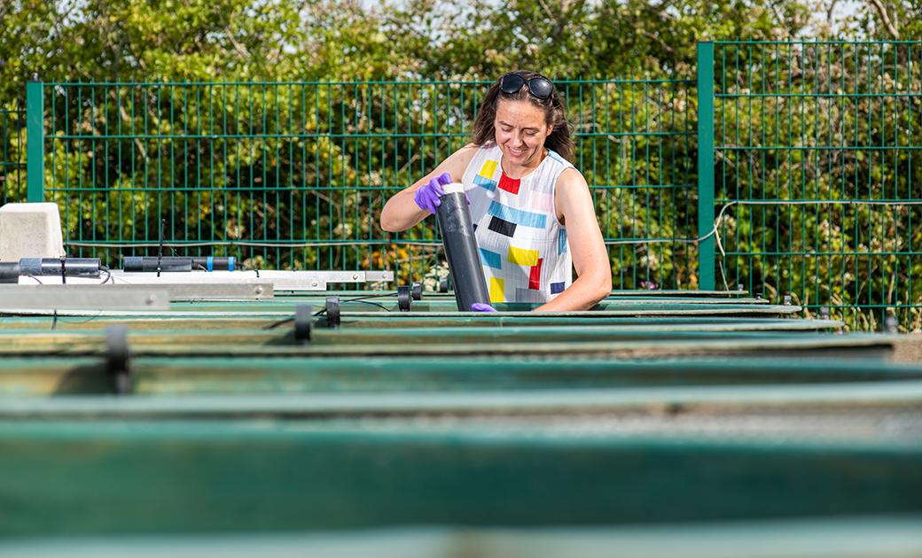 Heidrun Feuchtmayr at the UKCEH Aquatic Mesocosm Facility in Lancaster