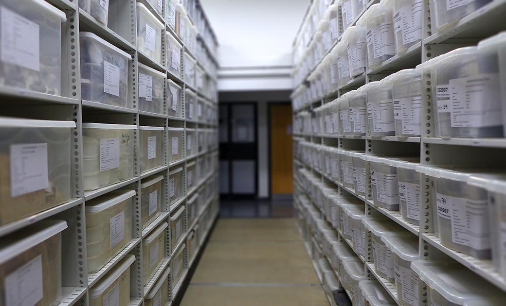 Boxed soil samples in the archive