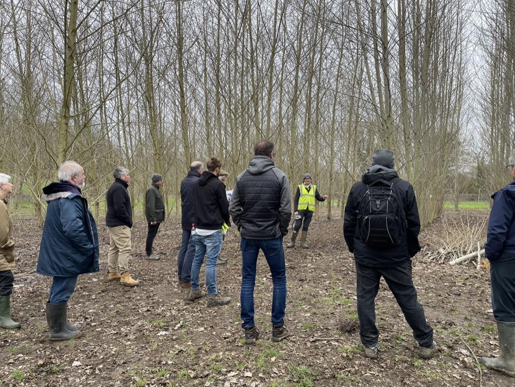 people standing in the woods