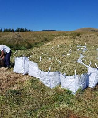 Big bags of cut grasses