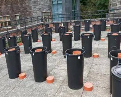 Rows of dustbins used for soil experiments