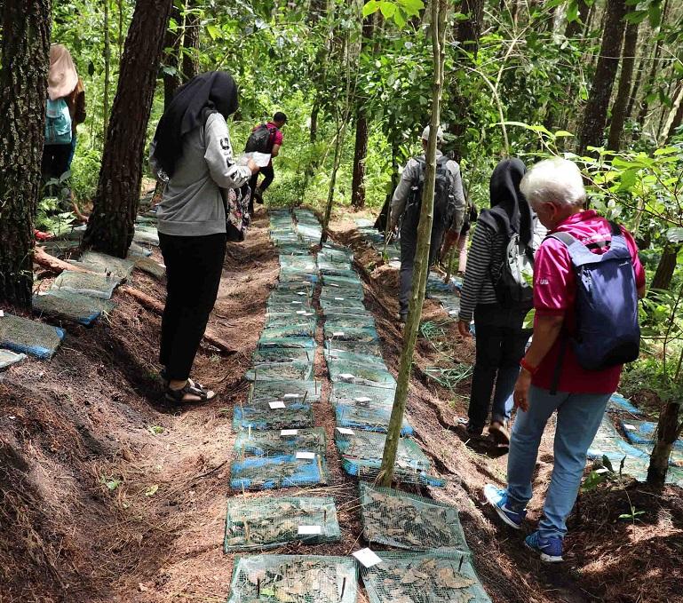 UB Forest Student litter bag experiment to study decomposition
