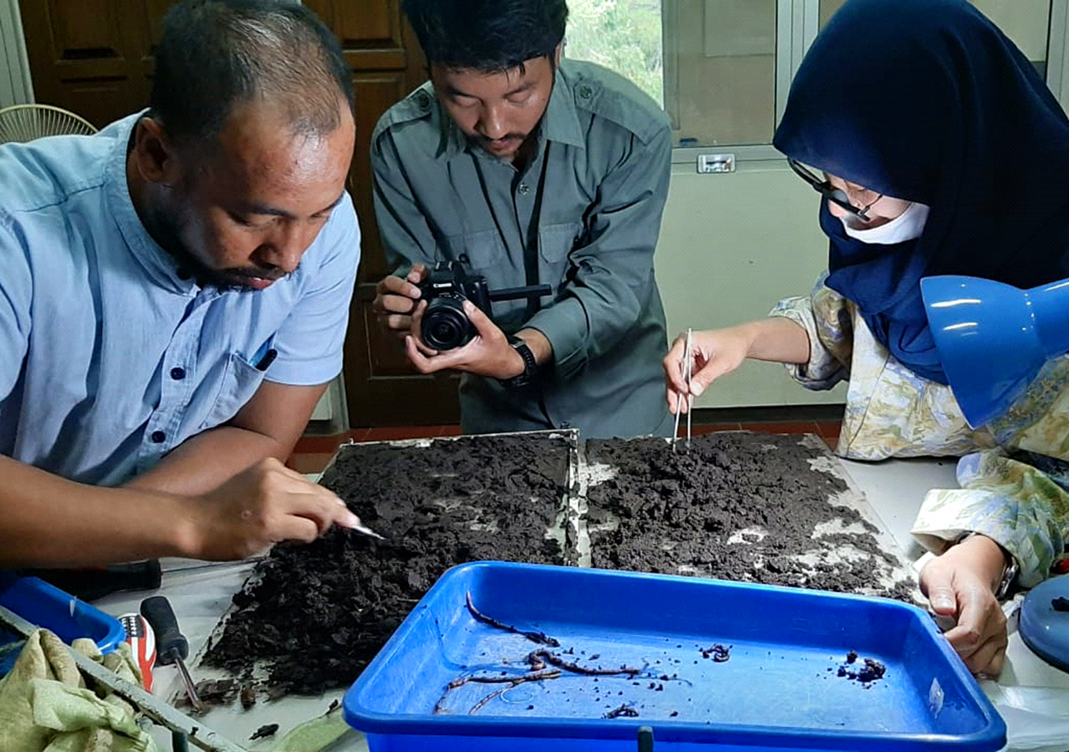 UB Forest counting worms