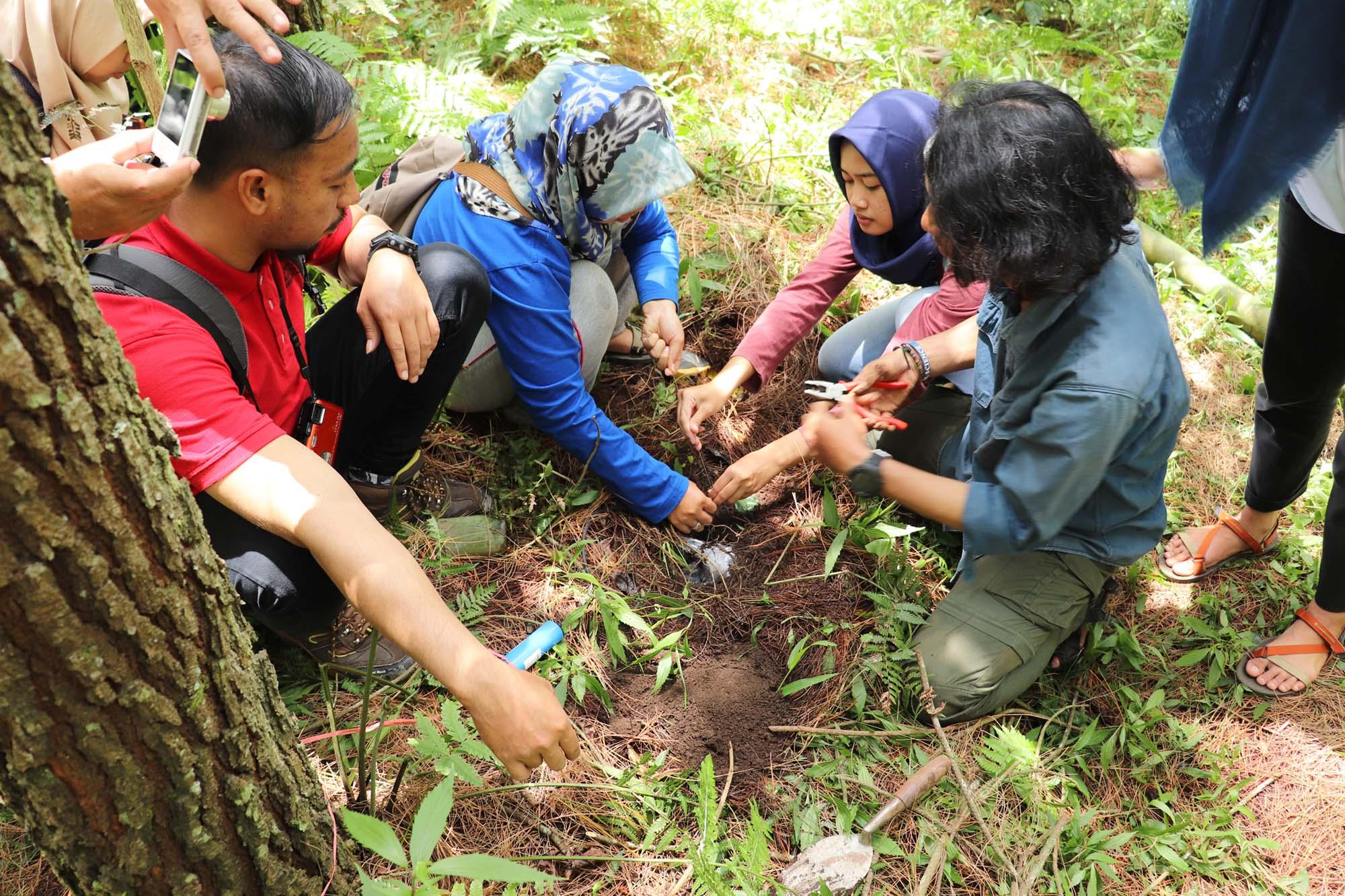 UB Forest Students installing soil moisture loggers following training by UKCEH