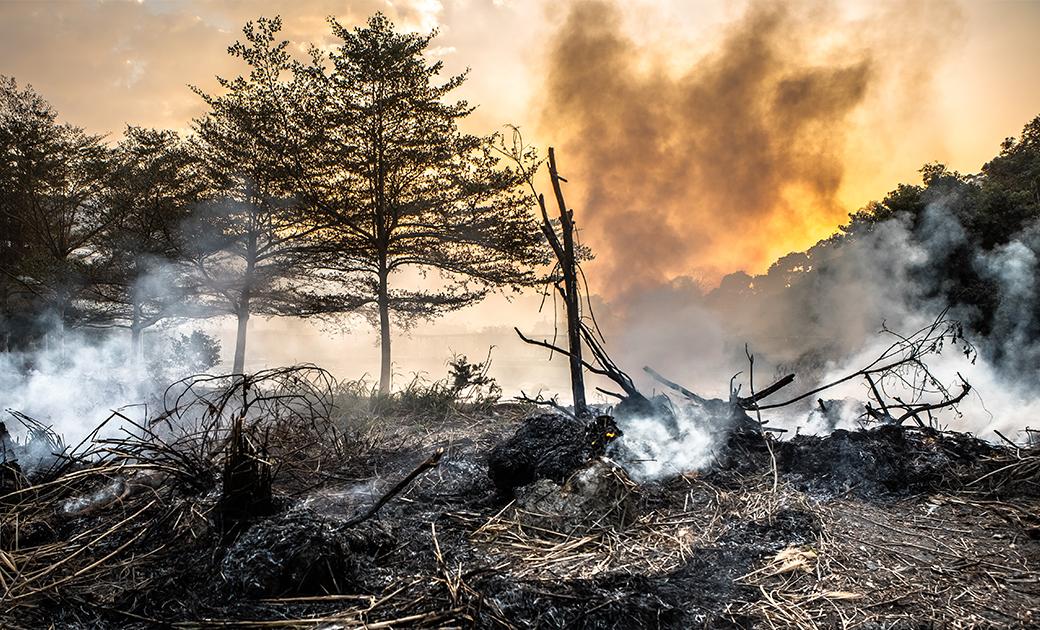 New report on global tipping points