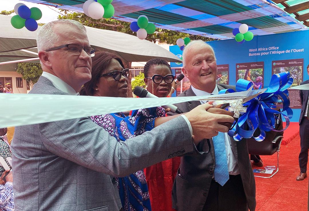 West Africa opening