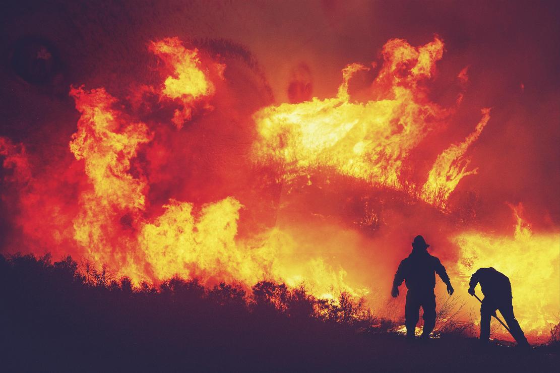 Wildfire