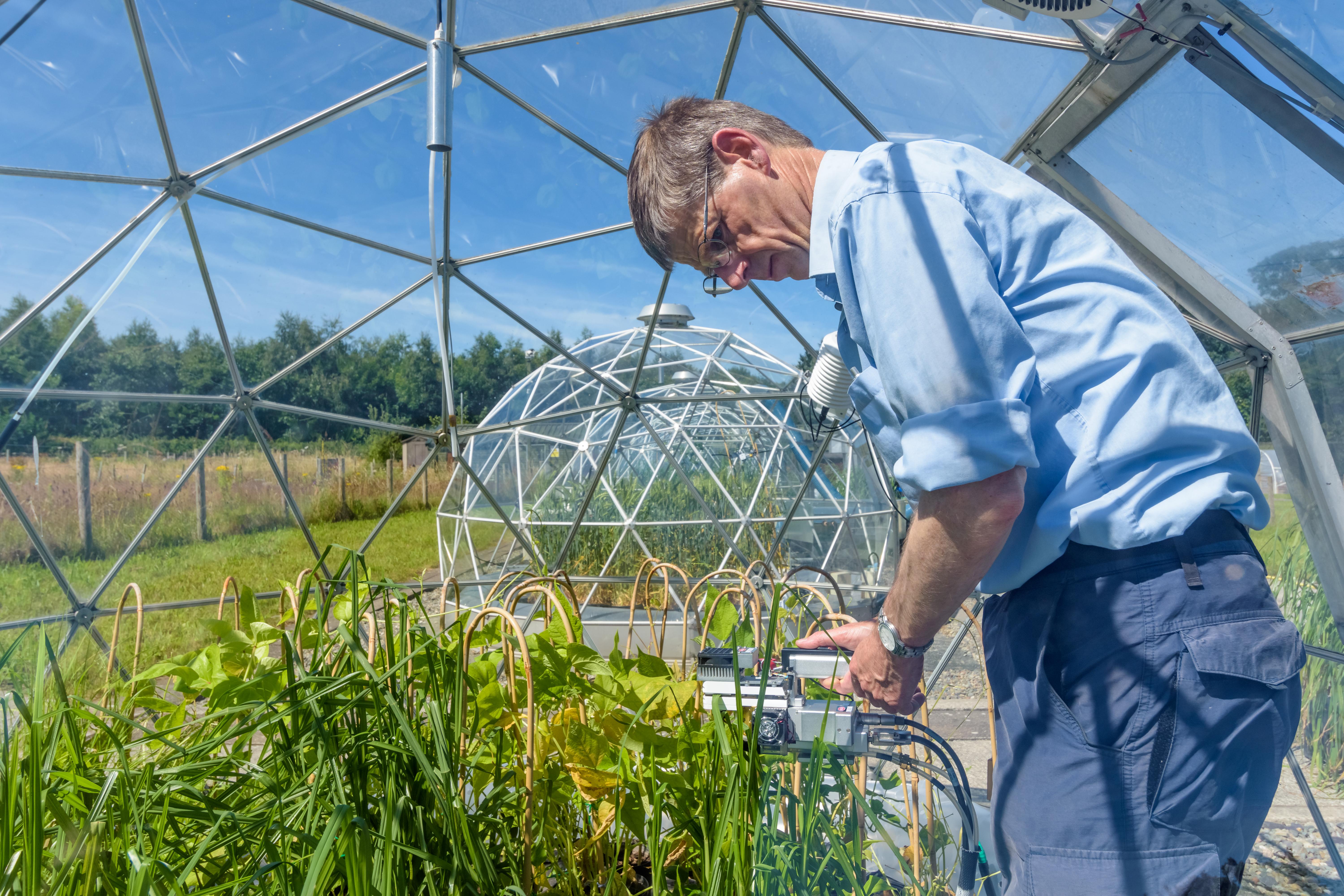 Solar domes in Bangor