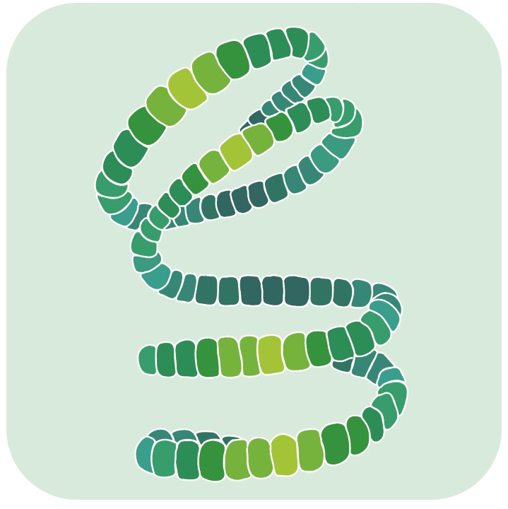 Bloomin Algae app logo