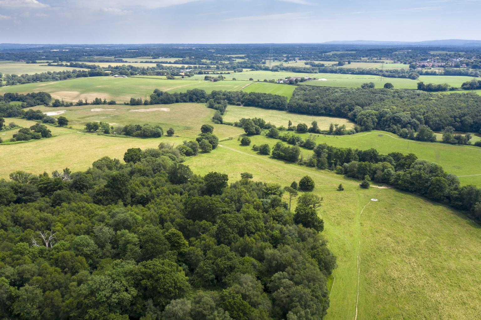 Woodland at Sheffield Park. Photo: NT Images/John Miller