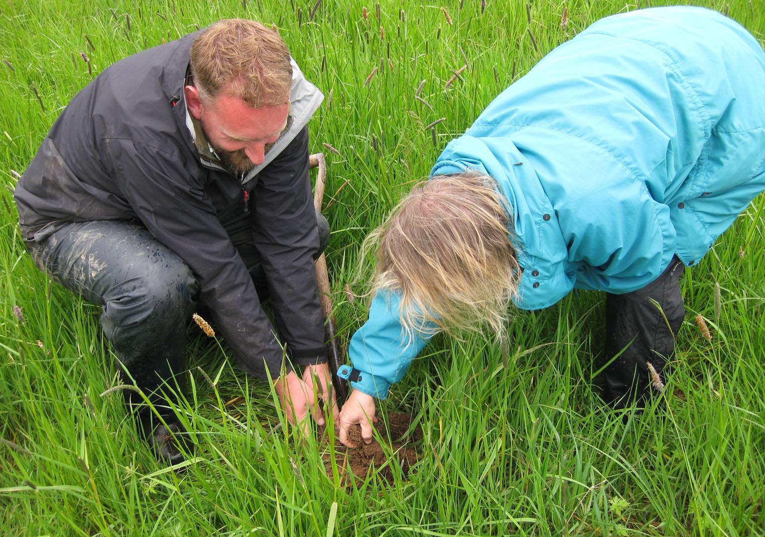 Studying a pasture