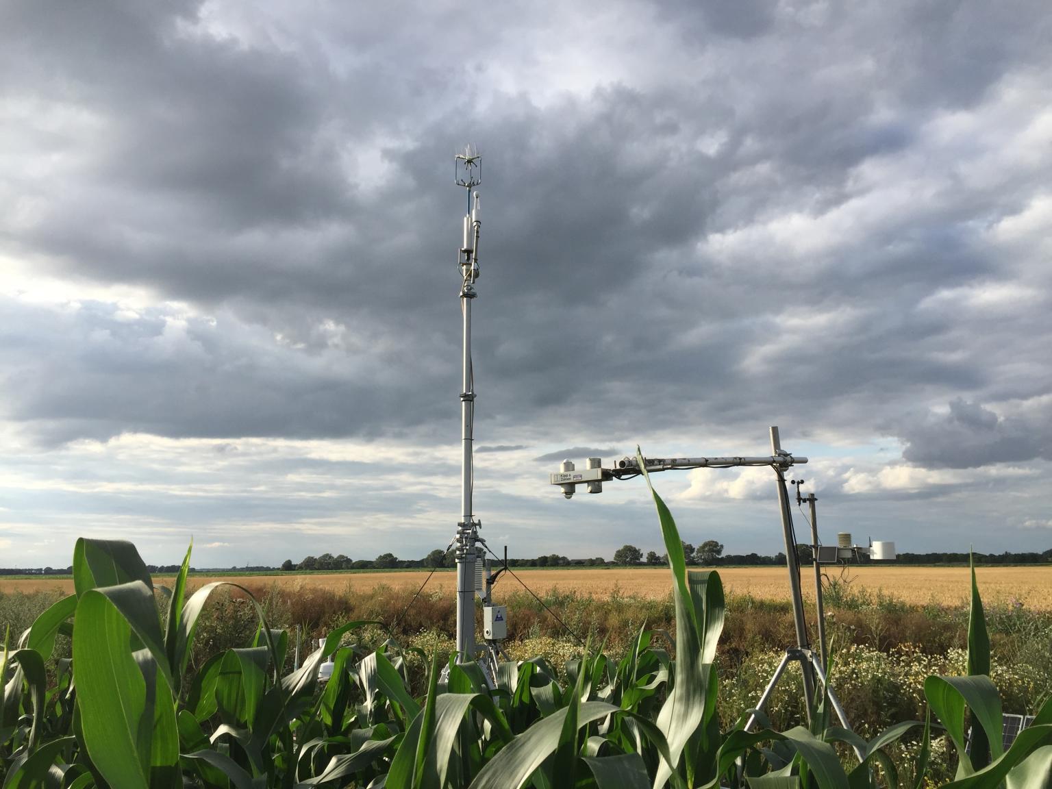 Flux monitoring on fen