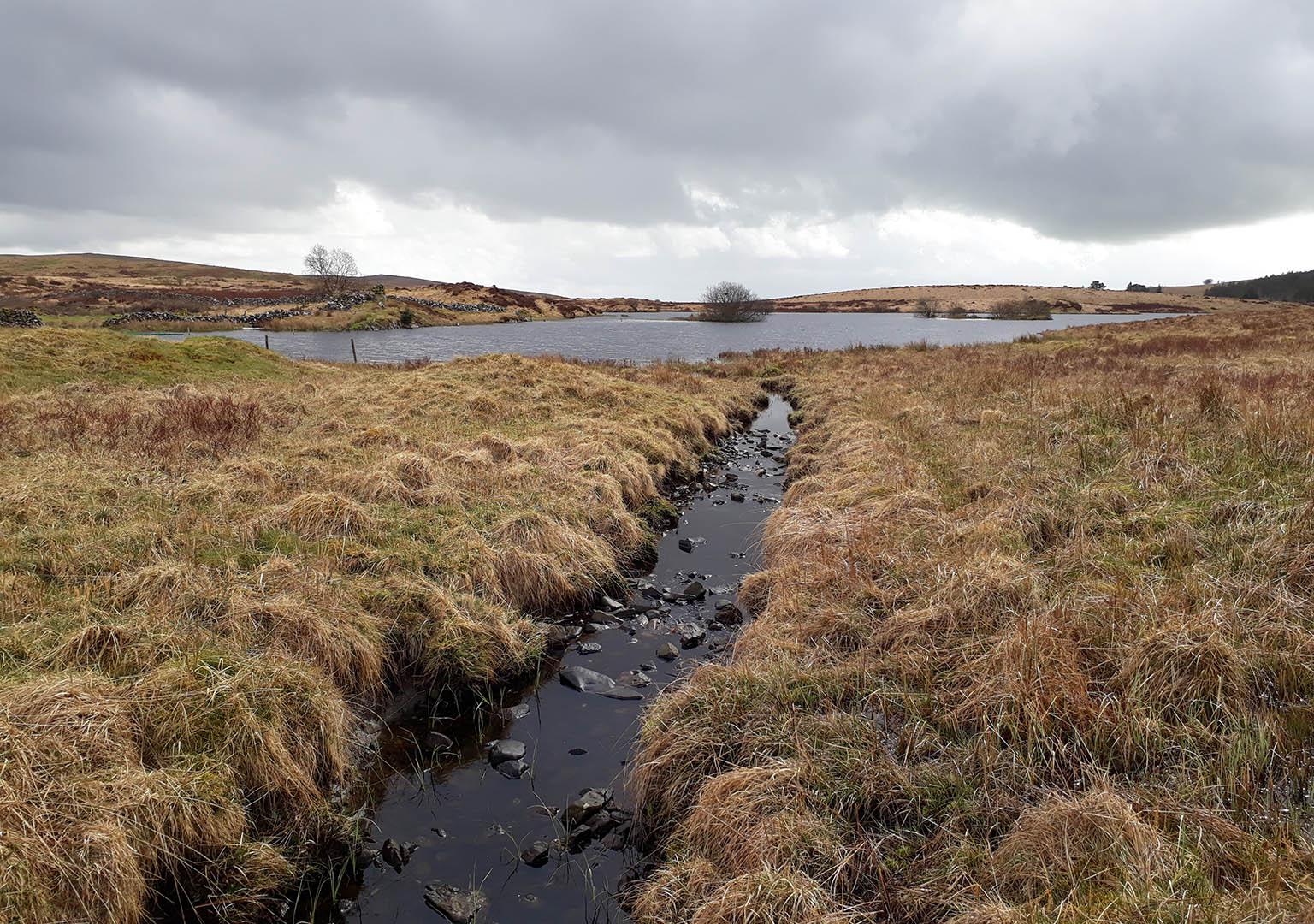 Stream flowing across peatland entering an upland reservoir