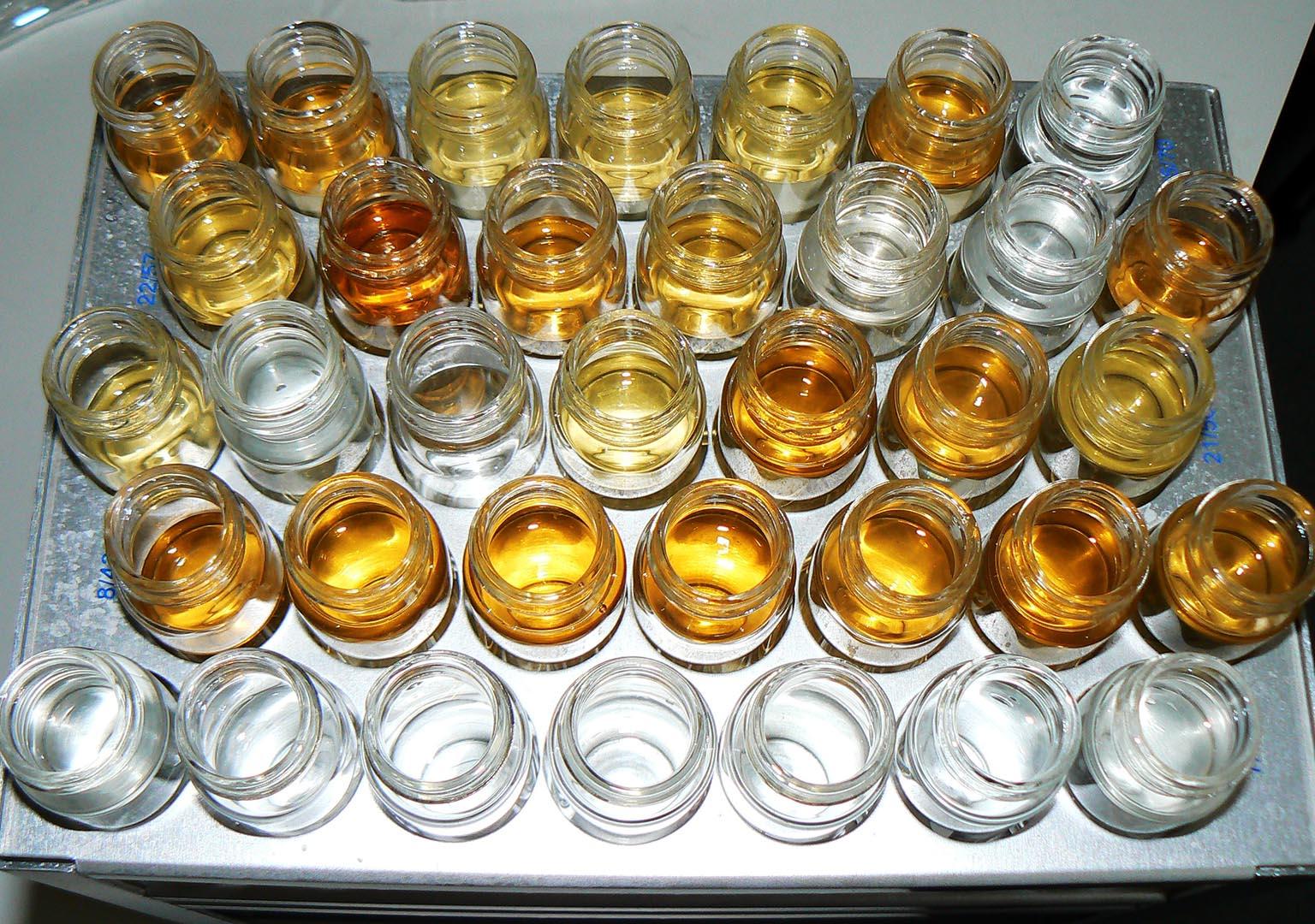 Jars of water showing varying degrees of colouration from dissolved organic matter