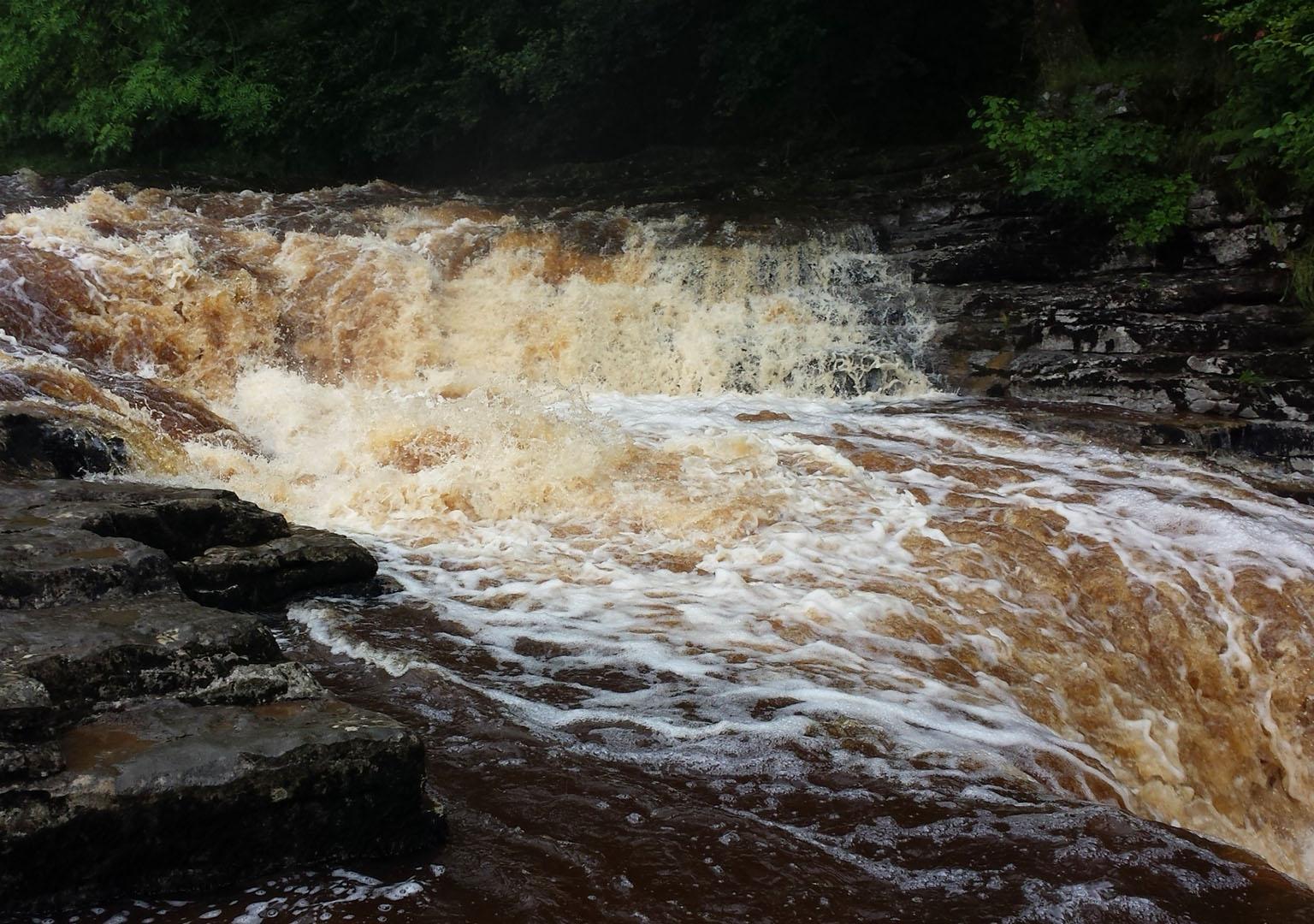 Turbulent river water showing brown staining from dissolved organic matter