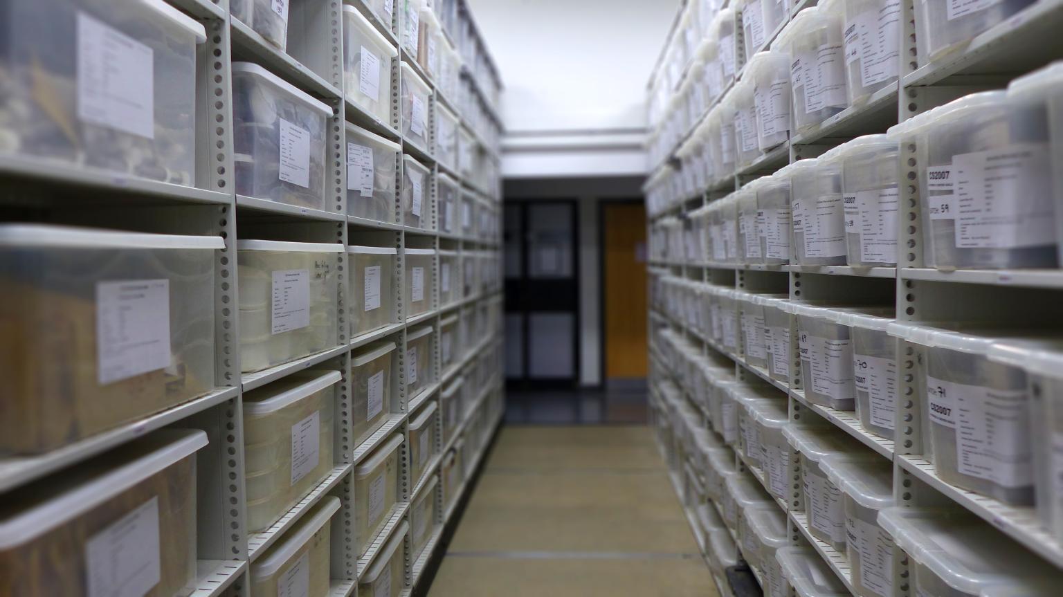 Boxed soil samples