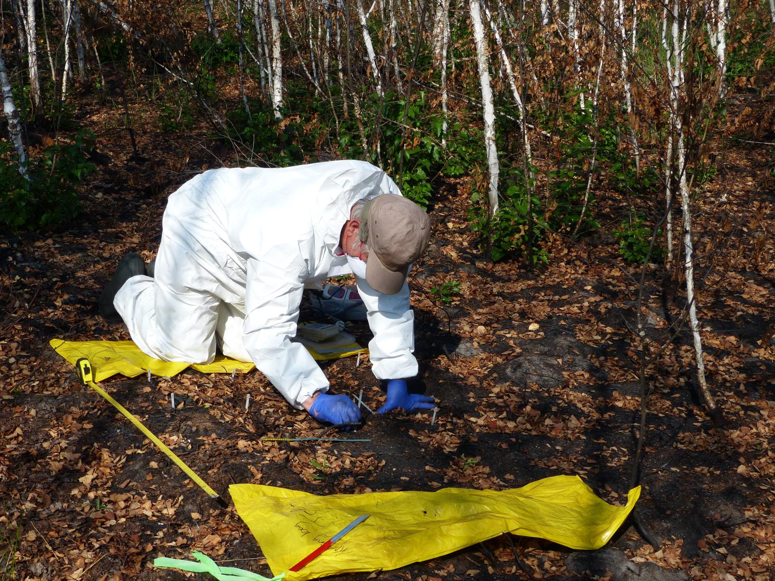 Soil monitoring_Red Forest.J