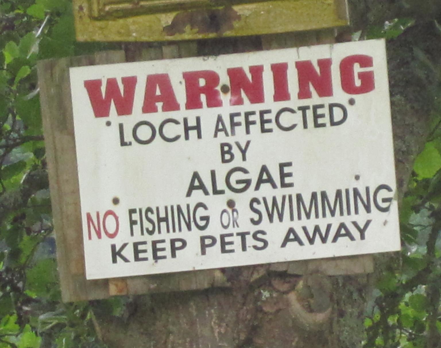 Loch algae warning sign