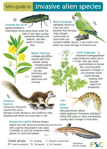 Mini guide to invasive alien species highlighting 7 species