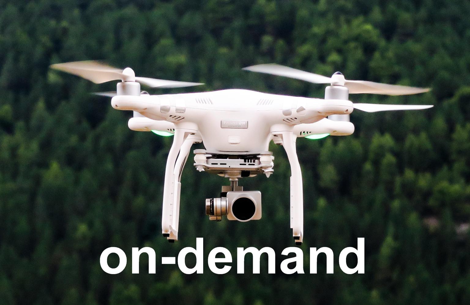 using drones to map habitats - on demand