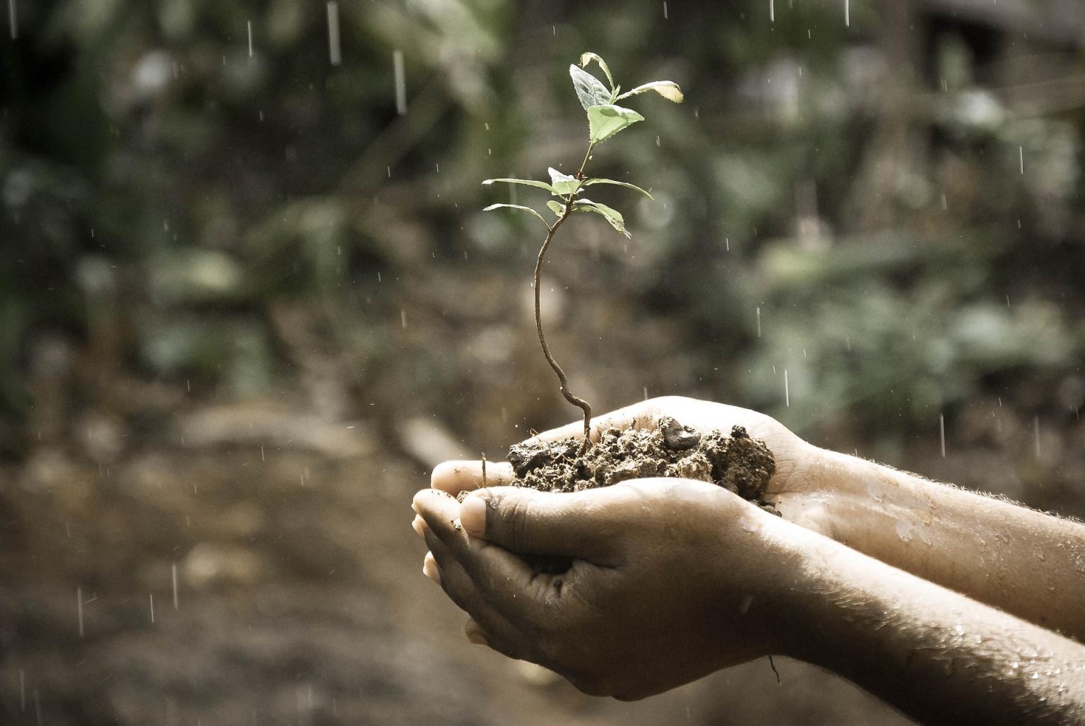 Soil. Photo: Pixabay