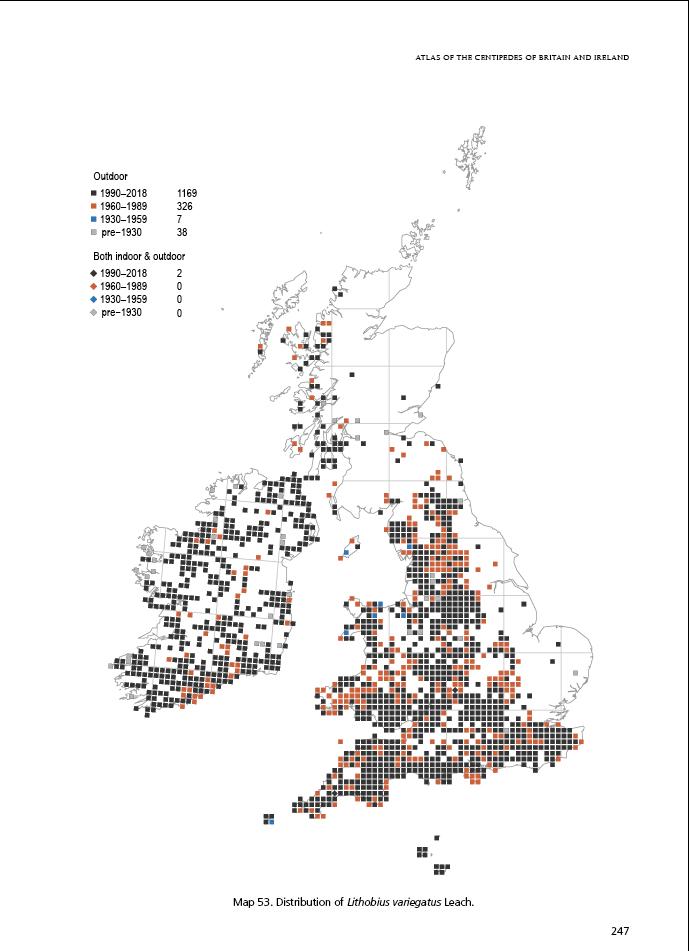 Map of British Isles and Ireland showing distribution of Lithobius variegatus centipede