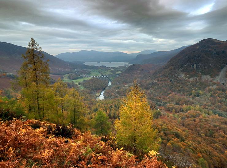 Autumn-tinged landscape with trees overlooking a lake