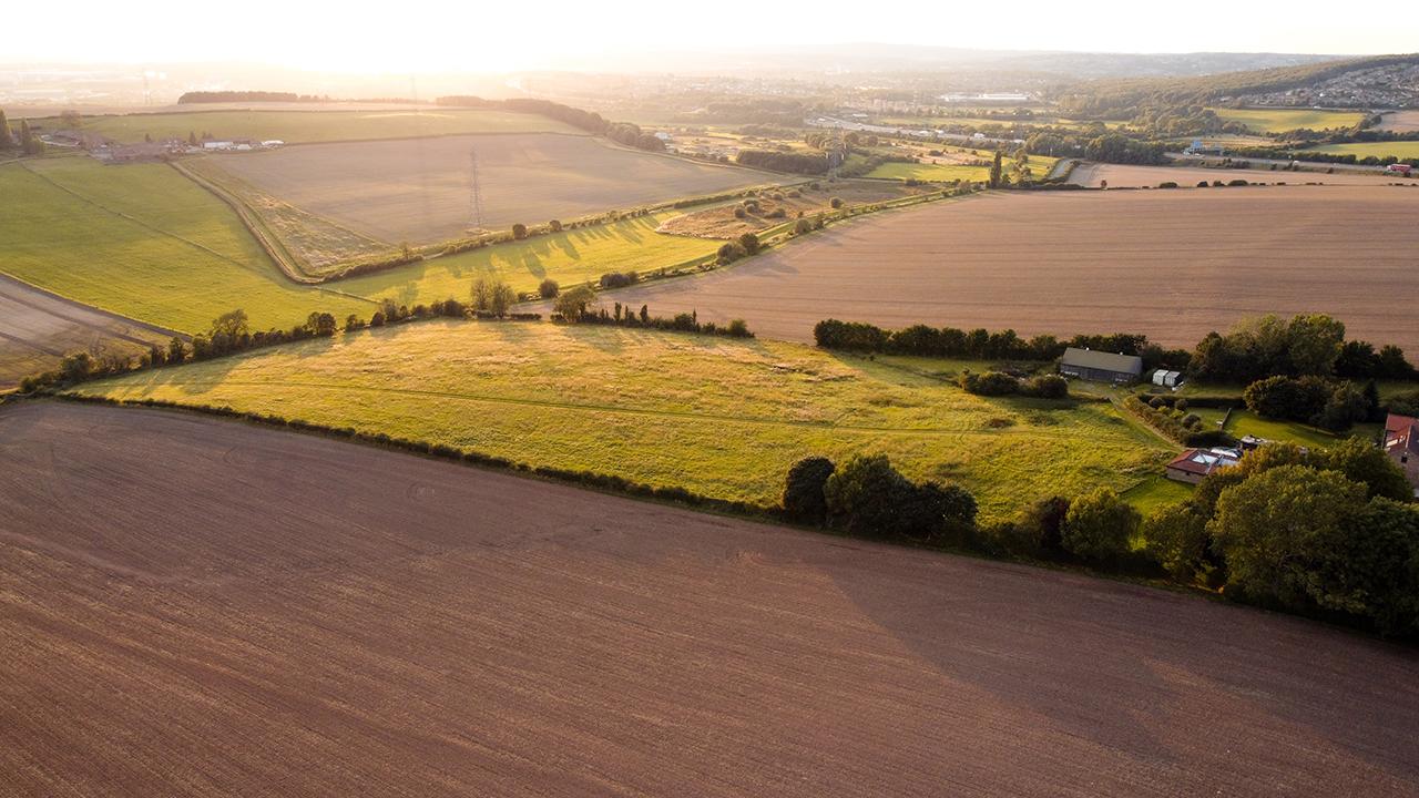 Farmland