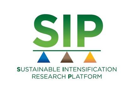 Sip logo 2