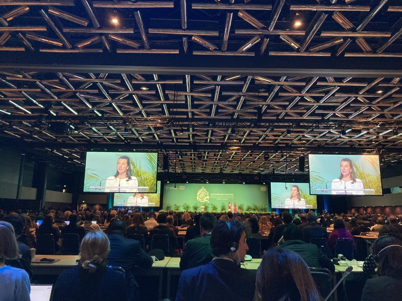 Big screens at COP15