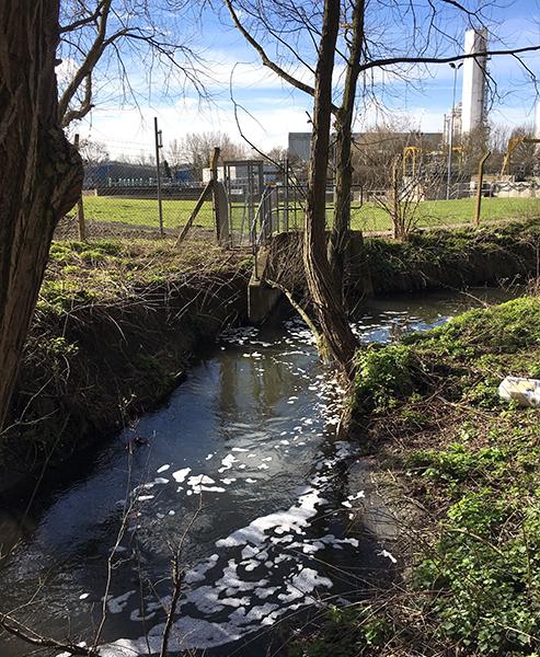 Effluent in a stream